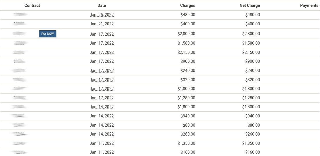 Ledger anonymized example screenshot